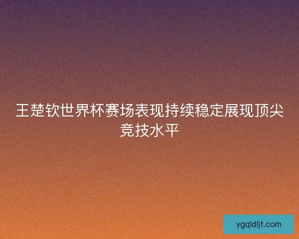 王楚钦世界杯赛场表现持续稳定展现顶尖竞技水平